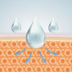Feuchtigkeitstropfen dringen in die Haut ein. Naturkosmetik mit Hyaluron versorgt die Zellen intensiv.