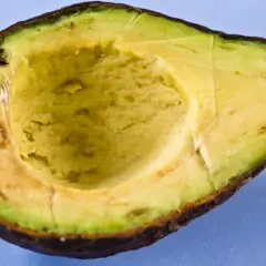 Halbierte Avocado auf blauem Hintergrund. Die Avocado-Wirkung auf die Haut ist bekannt, sie ist reich an Vitaminen und gesunden Fetten.