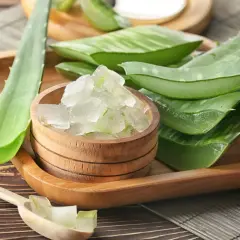 Frische Aloe Vera Blätter und Gel in einer Holzschale. Man kann Aloe Vera direkt auf die Haut auftragen für natürliche Pflege.
