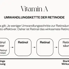 Schema zeigt Vitamin A Umwandlungskette: Retinyl Ester, Retinol, Retinal, Retinsäure. Je weniger Schritte, desto effektiver. Retinal ist am wirksamsten.