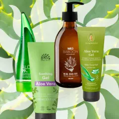 Vier Produkte mit organischem Aloe Vera Gel, umgeben von Aloe-Blättern.