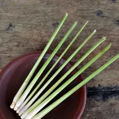 Frische Zitronengrasstängel auf einem braunen Teller. Die belebende lemongrass wirkung macht es zu einem beliebten Gewürz.