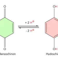 Chemische Reaktion: 1,4-Benzochinon wird zu Hydrochinon. Die hydrochinon wirkung wird durch die Aufnahme von zwei Protonen und zwei Elektronen erklärt.