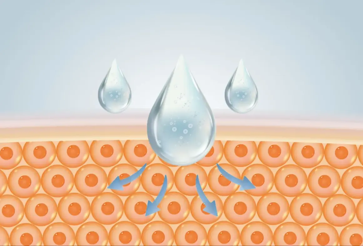 Feuchtigkeitstropfen dringen in die Haut ein. Naturkosmetik mit Hyaluron versorgt die Zellen intensiv.
