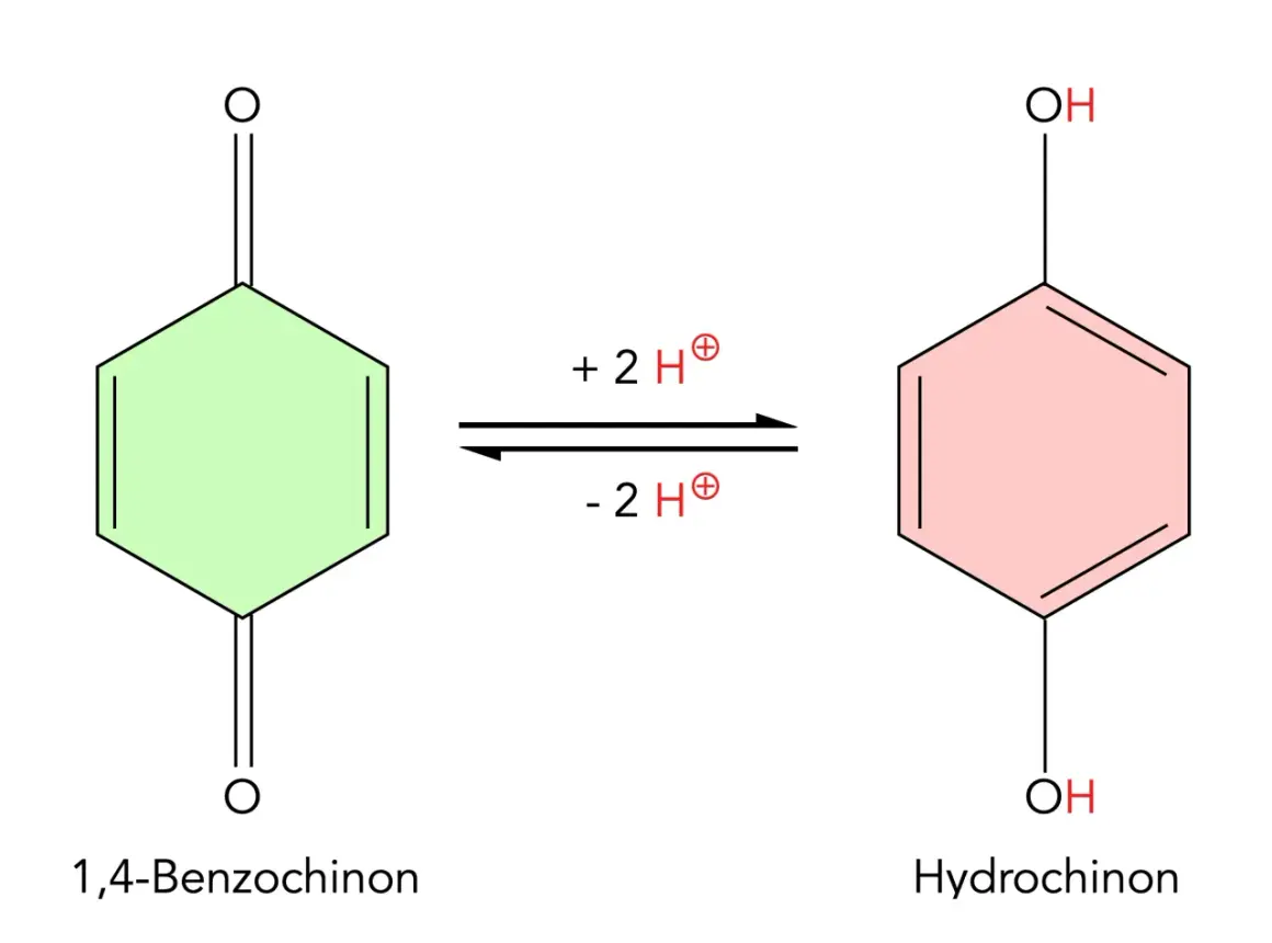 Chemische Reaktion: 1,4-Benzochinon wird zu Hydrochinon. Die hydrochinon wirkung wird durch die Aufnahme von zwei Protonen und zwei Elektronen erklärt.