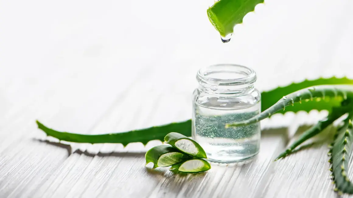 Aloe Vera Gel in einem Glasfläschchen, daneben aufgeschnittene Aloe Vera Blätter. Tropfen von Aloe Vera fallen auf das Gel, ideal für offene Wunden.