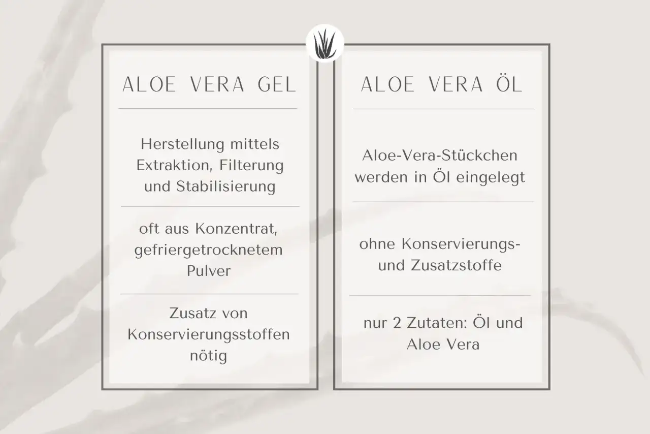 Aloe-vera-Gel für die Haut - Wirkung, Anwendung und Grenzen