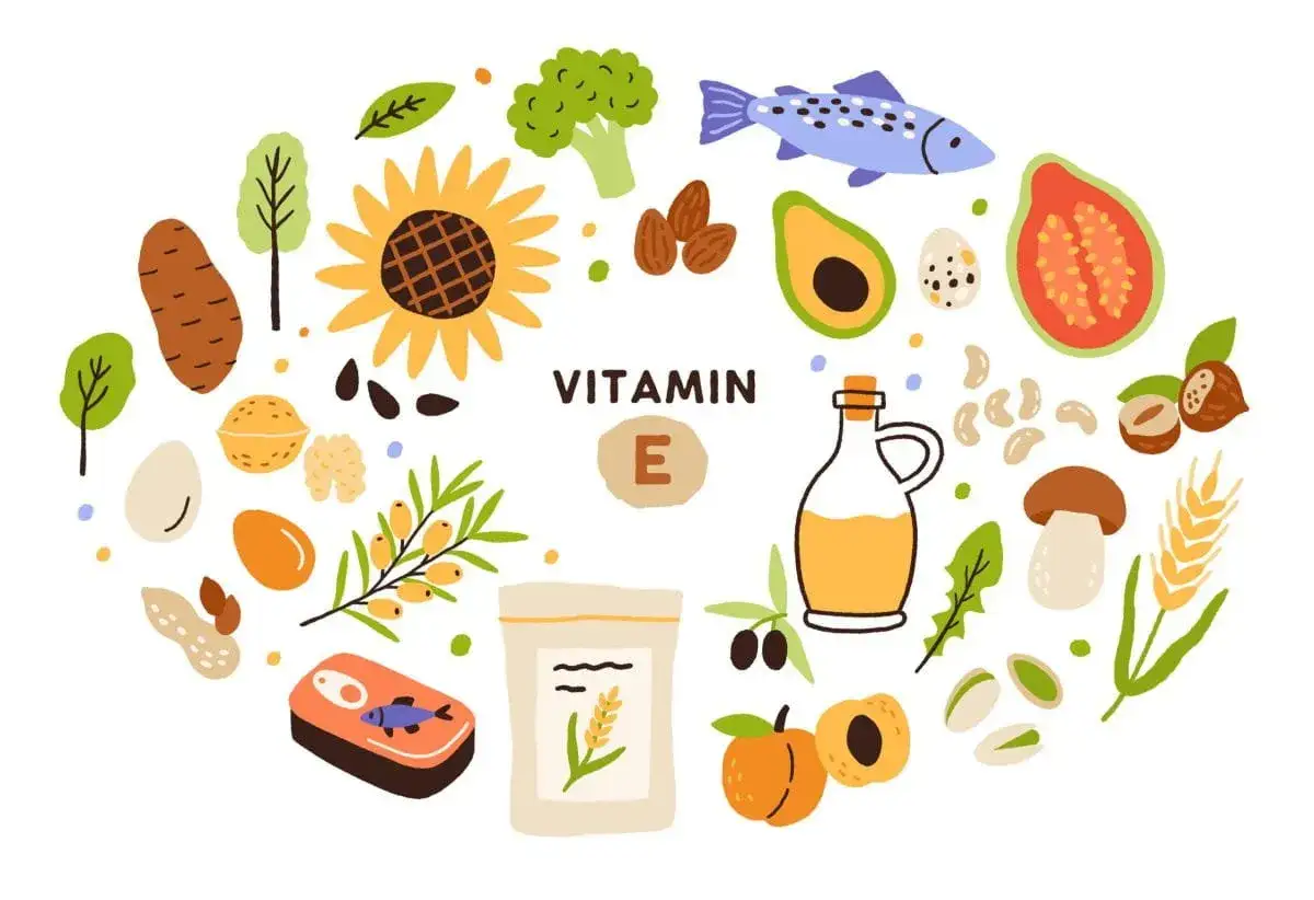 Vitamin E bei Sonne - was es kann und was nicht
