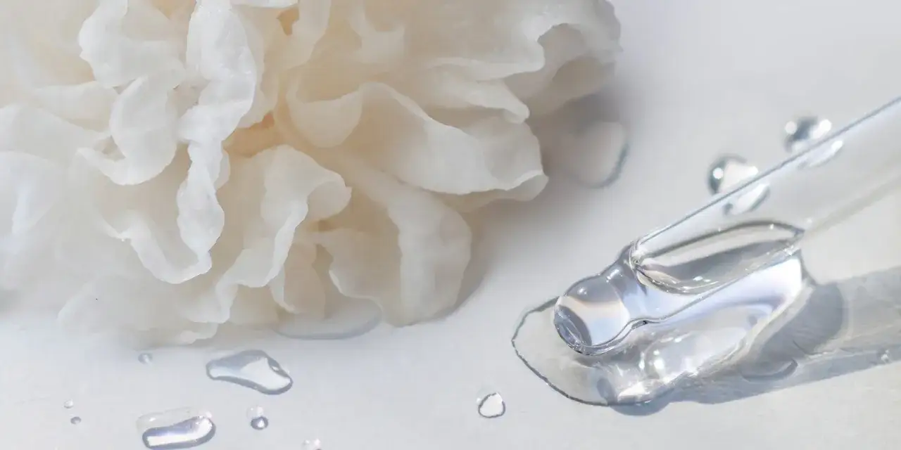Feine, weiße Tremella-Pilzstruktur neben einem Pipettenkopf mit klarem Serum. Die feuchtigkeitsspendende Tremella Wirkung für die Haut wird hier visuell dargestellt.