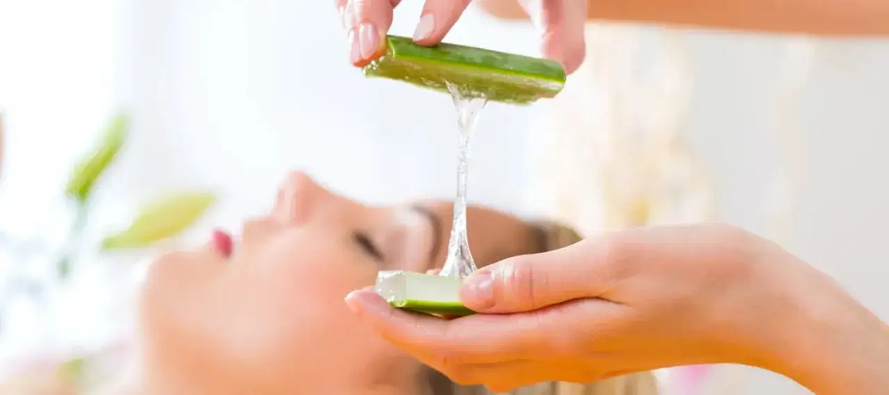 Frische Aloe Vera wird über einem entspannten Gesicht gehalten, das reine Aloe Vera Gel für die Hautpflege bereitstellt.