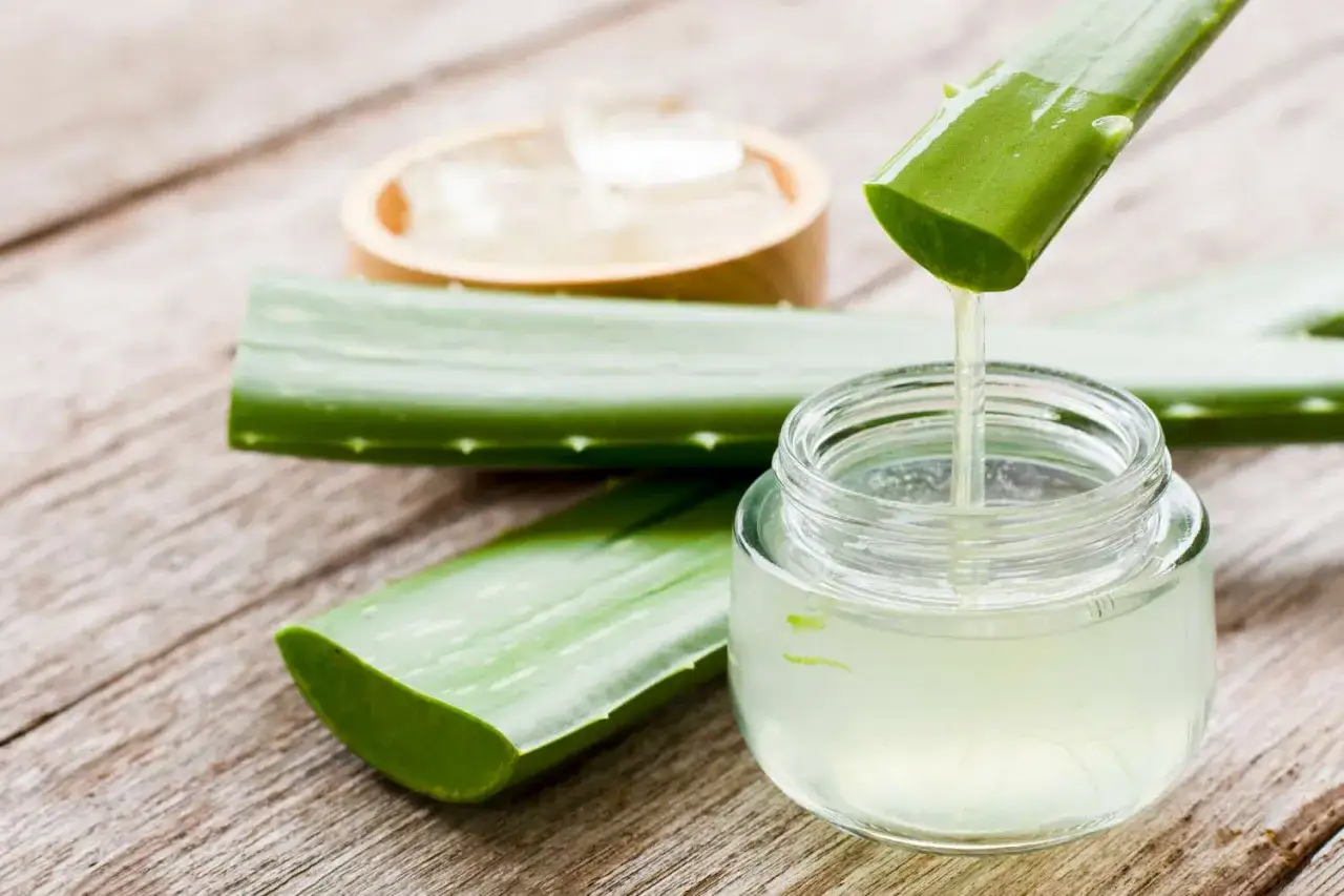 Frisches 100 Aloe Vera Gel tropft aus einem Blatt in ein Glas. Daneben liegen weitere Aloe-Blätter und eine Schale mit Eis.