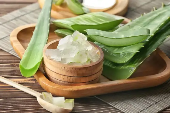 Aloe Vera Gel 100 Prozent - echtes Gel erkennen und sinnvoll nutzen