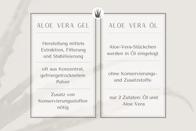 Aloe-vera-Gel - Wirkung, Anwendung und Grenzen
